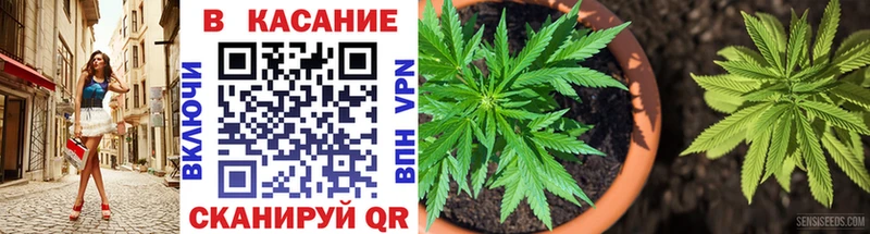 Купить A-PVP  Амфетамин  Гашиш  NBOMe  Каннабис  Cocaine  Мефедрон  Галлюциногенные грибы  Лагань