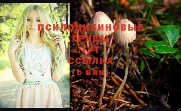 мдма Заволжье