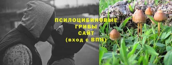 MDMA Заводоуковск
