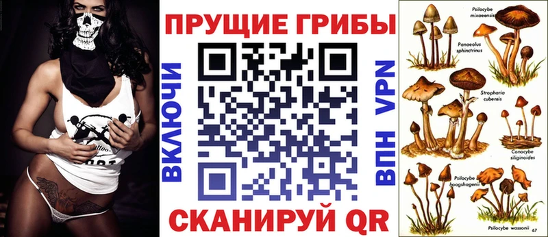 Купить где  Лагань  Псилоцибиновые грибы GOLDEN TEACHER 